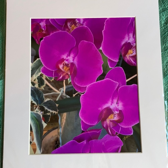 💗 “Large Pink” LM Photograph - Picture 2 of 2